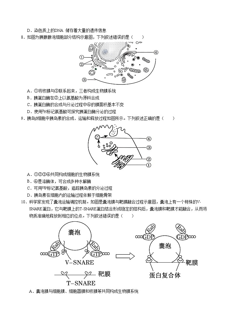高一生物第三次月考卷(浙科版2019,必修一第1~3章)2024-2025学年高中上学期第三次月考.zip03