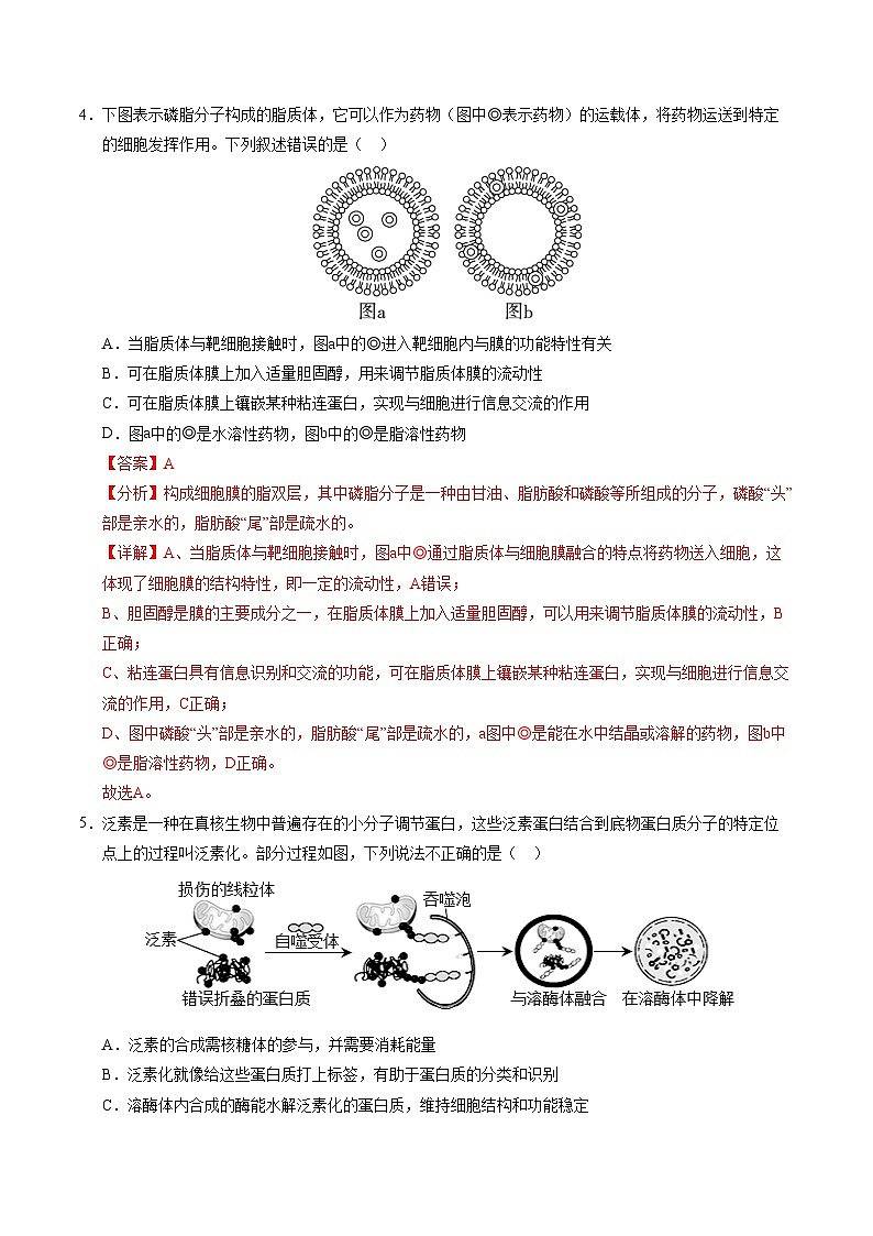 高一生物第三次月考卷(浙科版2019,必修一第1~3章)2024-2025学年高中上学期第三次月考.zip03