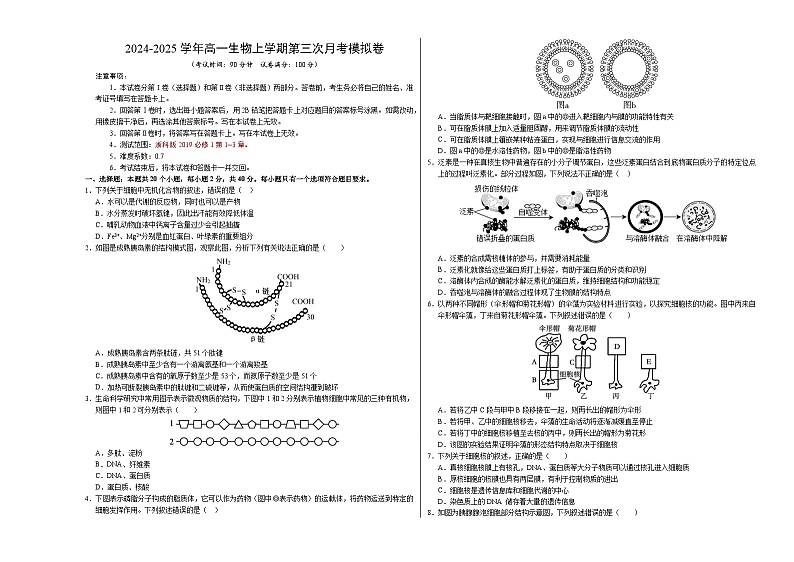 高一生物第三次月考卷(浙科版2019,必修一第1~3章)2024-2025学年高中上学期第三次月考.zip01