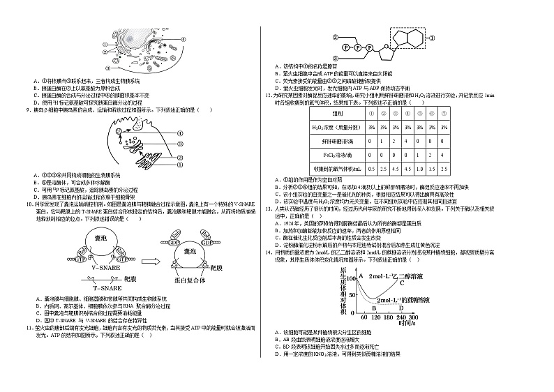 高一生物第三次月考卷(浙科版2019,必修一第1~3章)2024-2025学年高中上学期第三次月考.zip02