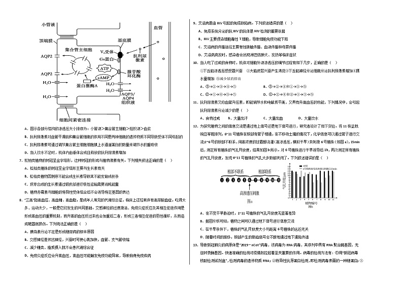 高二生物第三次月考卷【测试范围:选必1+选必21~2章】(考试版A3)(江苏专用)第2页
