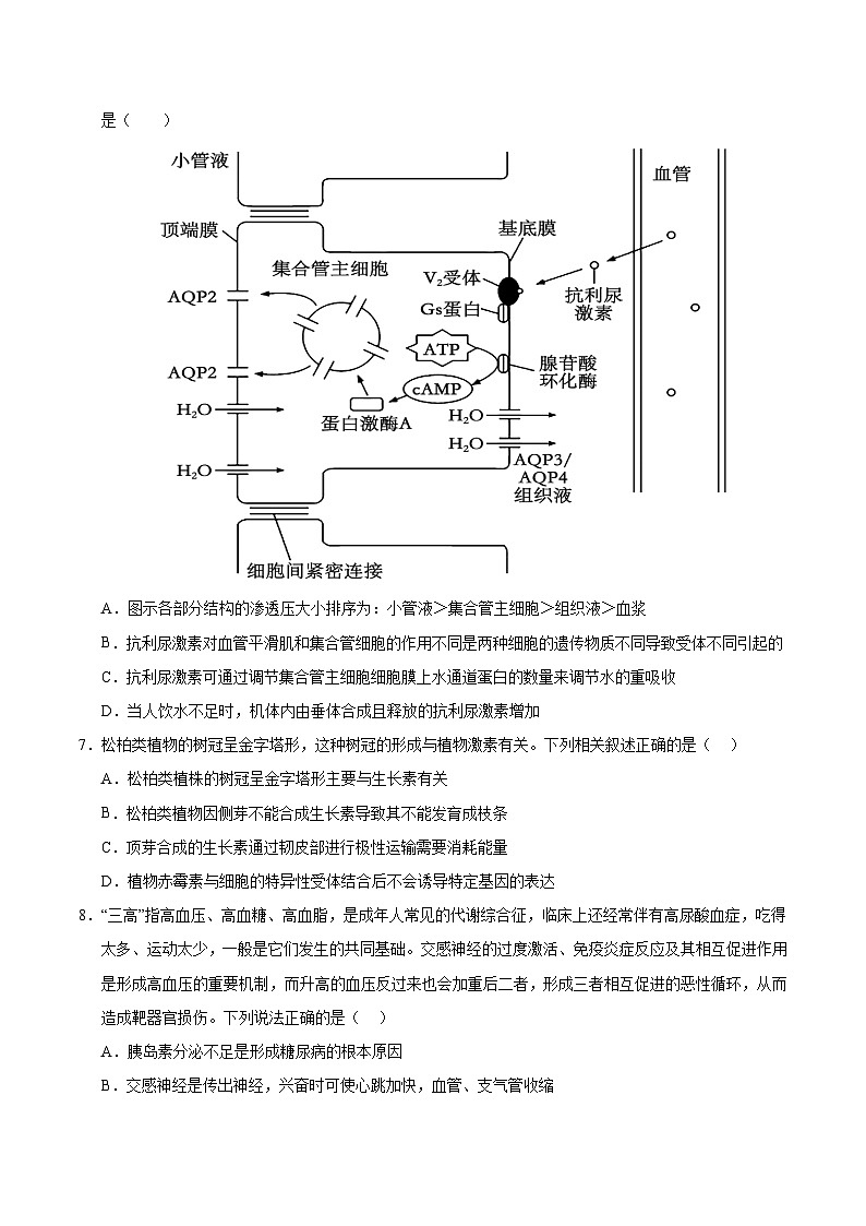 高二生物第三次月考卷【测试范围:选必1+选必21~2章】(考试版A4)(江苏专用)第3页