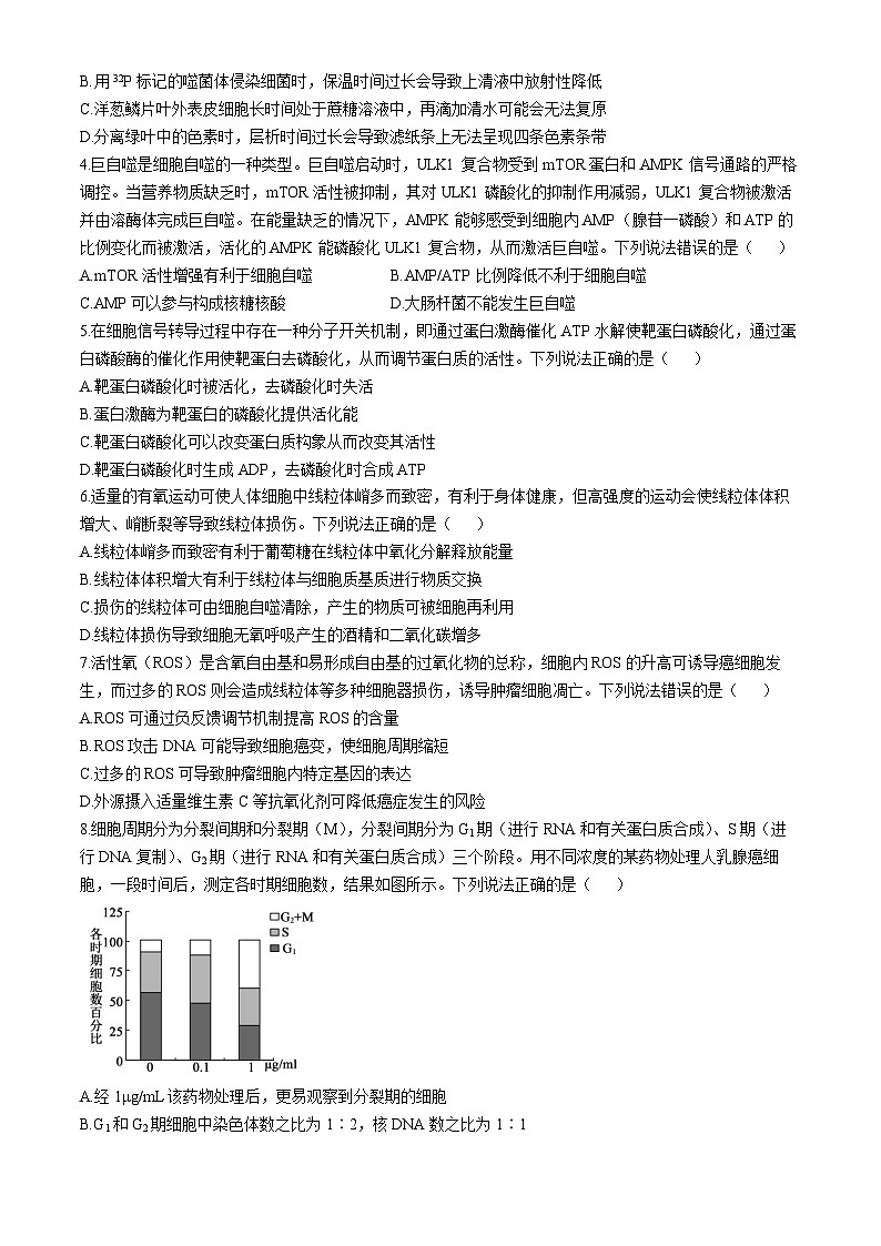 山东省德州市2024-2025学年高三上学期期中考试生物试题第2页