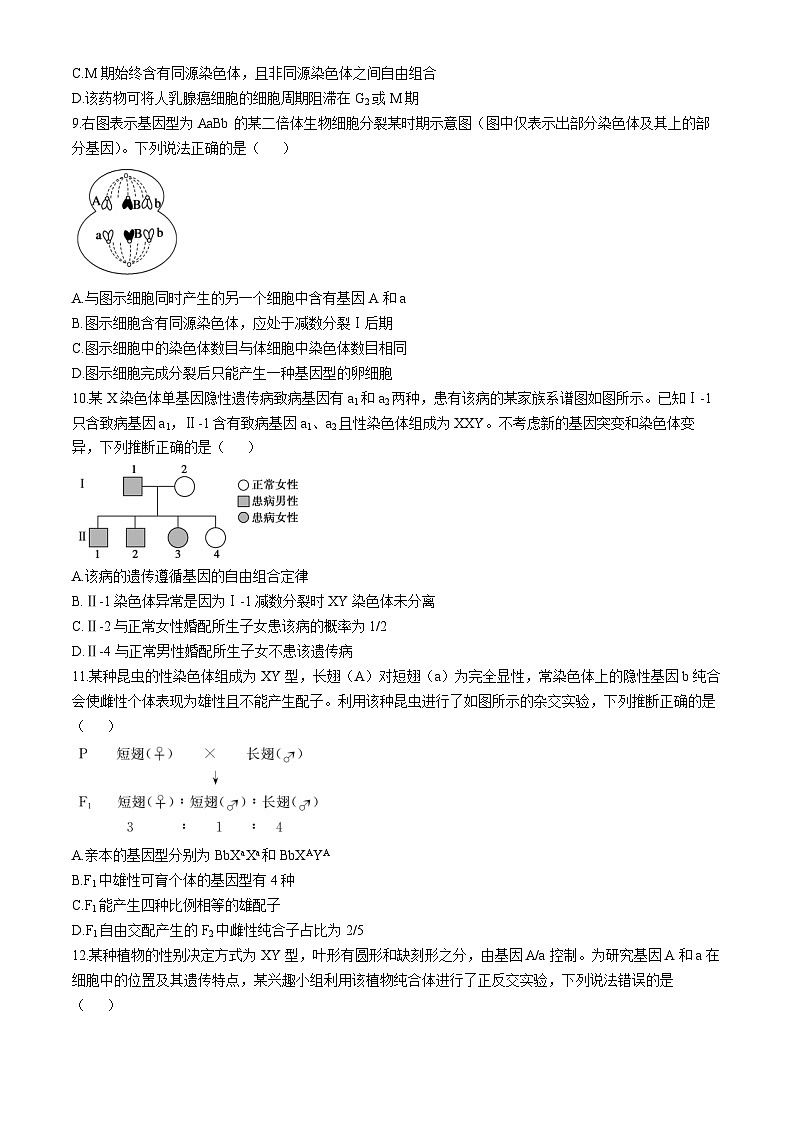山东省德州市2024-2025学年高三上学期期中考试生物试题第3页