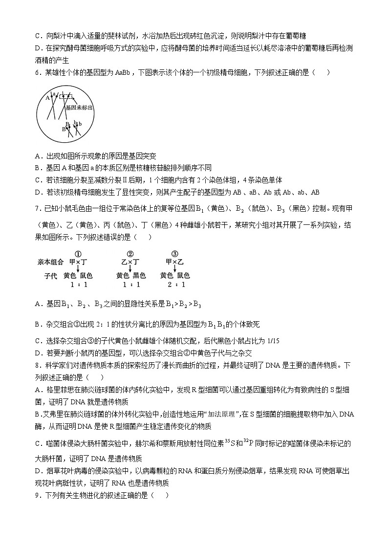 2025保定示范高中高三上学期11月期中考试生物含解析第2页