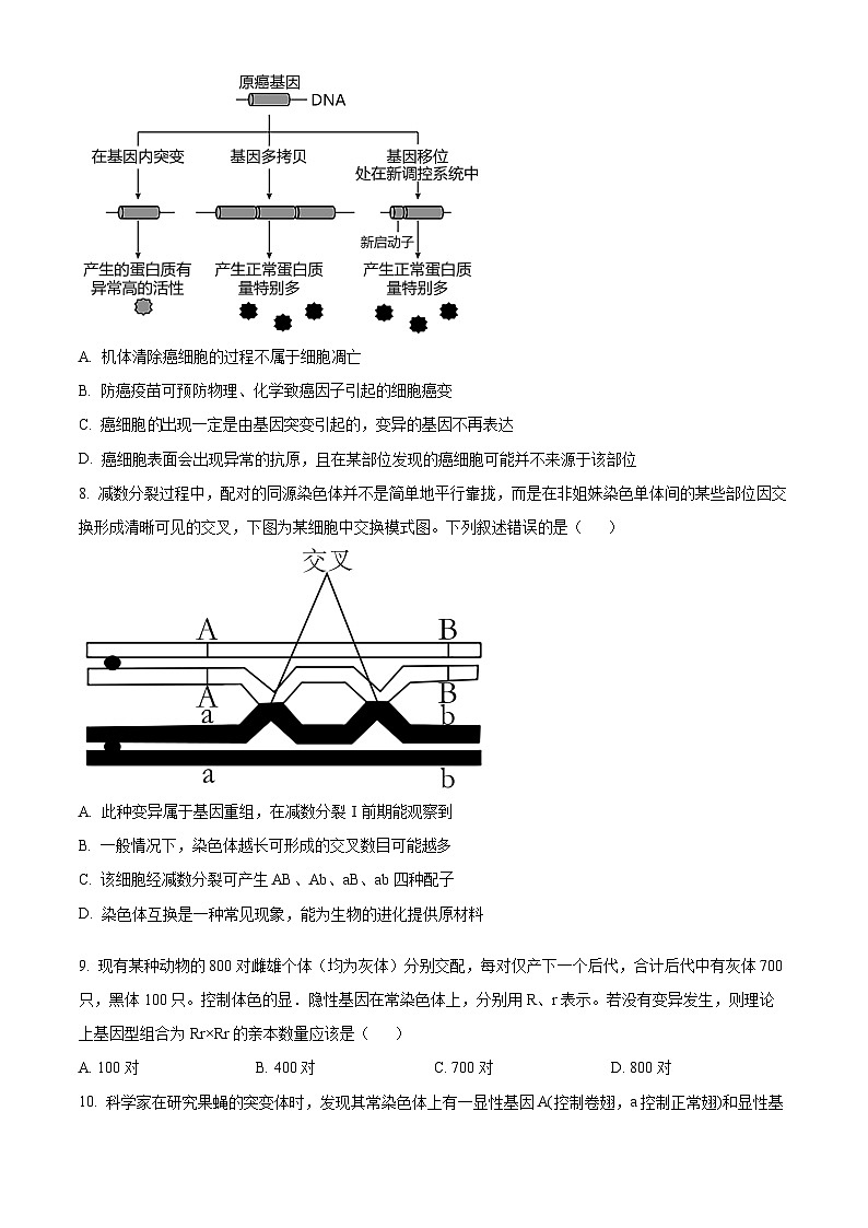 陕西省十七校联考2024-2025学年高三上学期11月期中生物试题 Word版无答案第3页