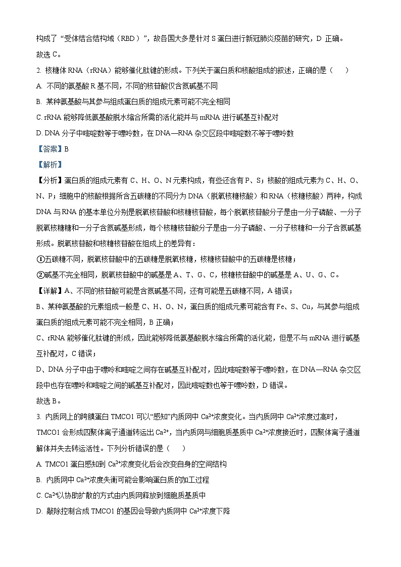陕西省十七校联考2024-2025学年高三上学期11月期中生物试题 Word版含解析第2页