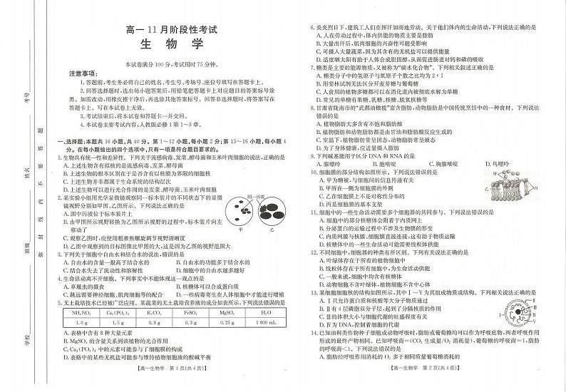 广西名校联盟2024-2025学年高一上学期11月期中考试生物试卷(PDF版附答案)第1页