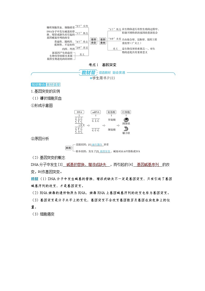 备战2025年高考生物精品教案第七章生物的变异和进化课时1基因突变和基因重组(Word版附解析)第2页