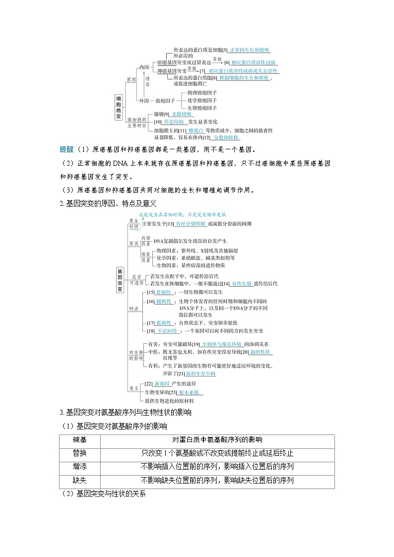 备战2025年高考生物精品教案第七章生物的变异和进化课时1基因突变和基因重组(Word版附解析)第3页