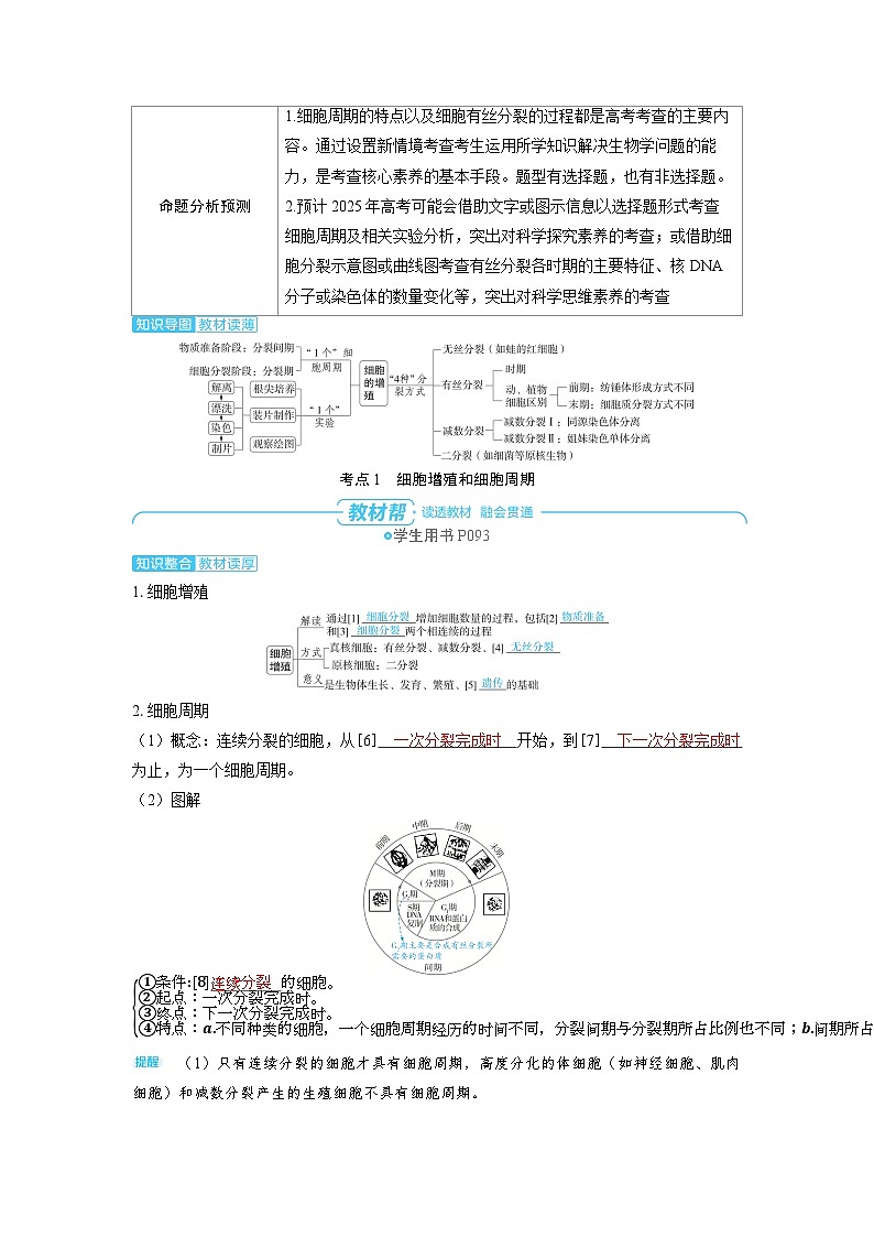 备战2025年高考生物精品教案第四章细胞的生命历程课时1细胞的增殖(Word版附解析)第2页