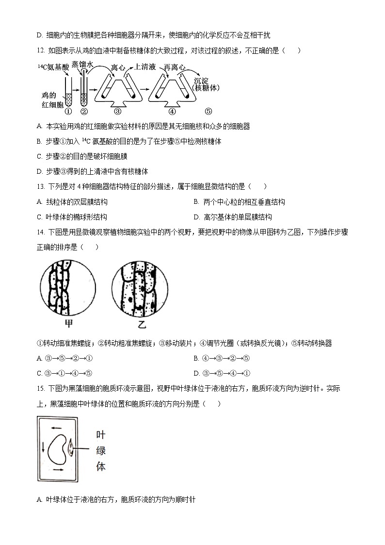 福建省莆田市第一中学2024-2025学年高一上学期期中考试生物试题(原卷版)-A4第3页