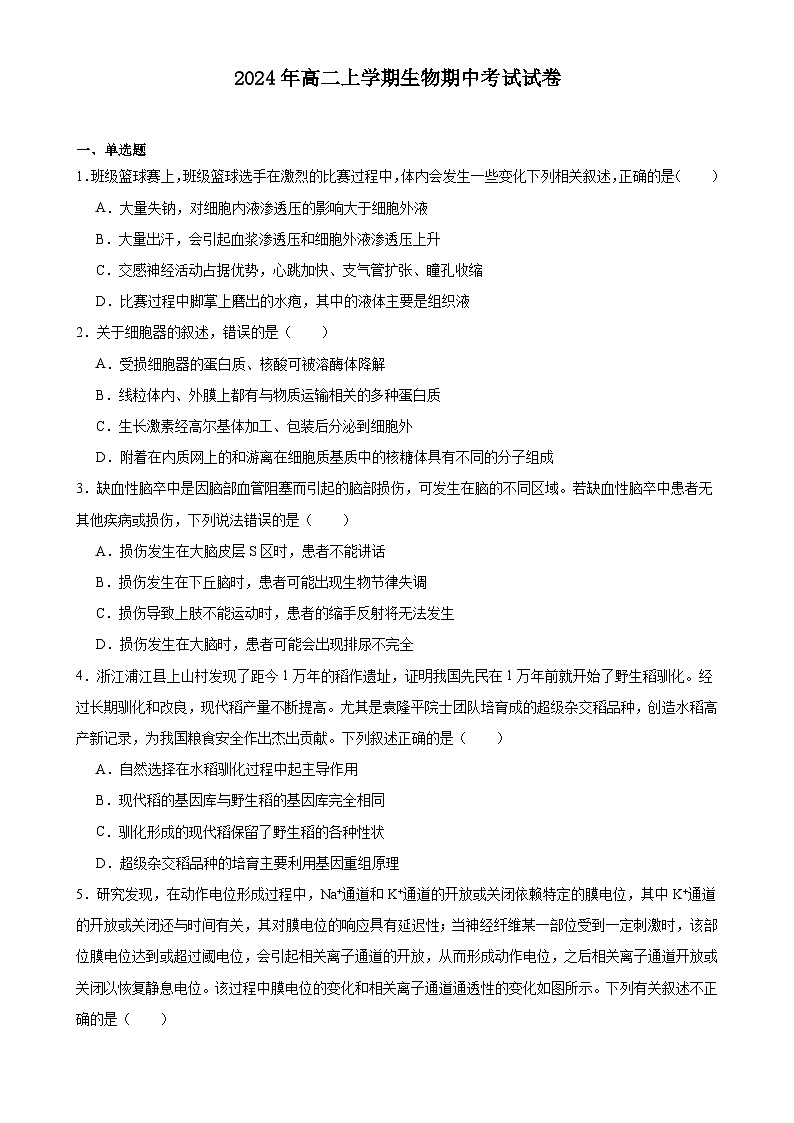 湖南省岳阳市云溪区2024-2025学年高二上学期11月期中生物试题-A4第1页