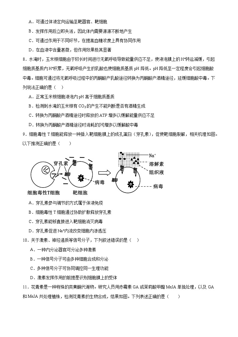 湖南省岳阳市云溪区2024-2025学年高二上学期11月期中生物试题-A4第3页