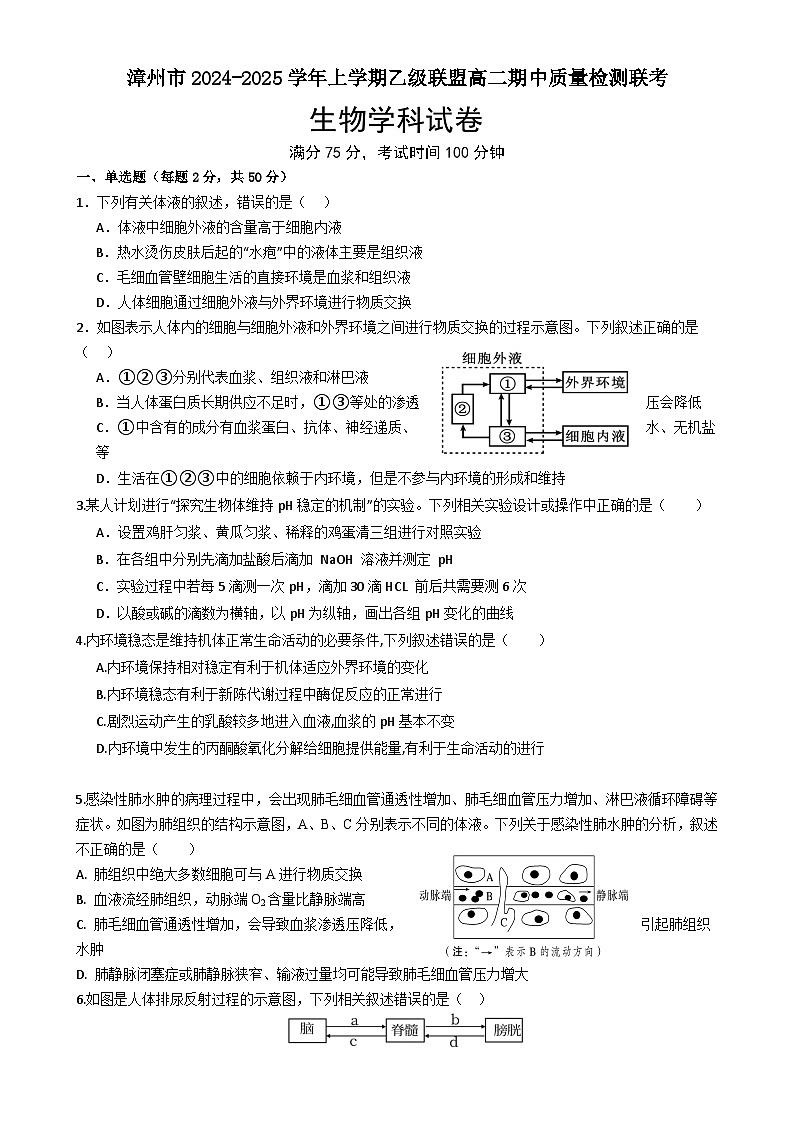 福建省漳州市乙级校联盟2024-2025学年高二上学期期中考试生物试题-A4第1页