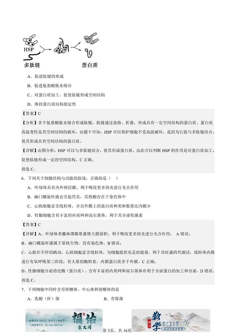 江苏省如皋中学2024-2025高一上学期综合练习二(期中模拟)生物试题解析版第3页