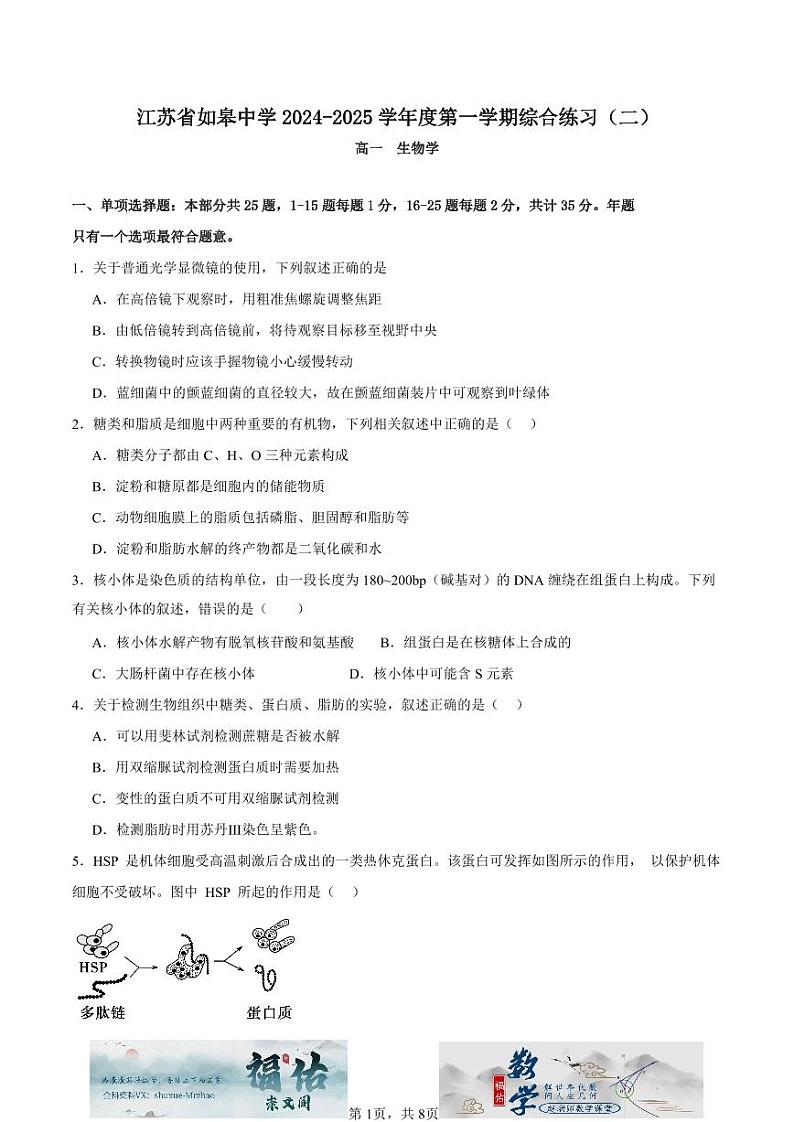 江苏省如皋中学2024-2025高一上学期综合练习二(期中模拟)生物试题原卷版第1页