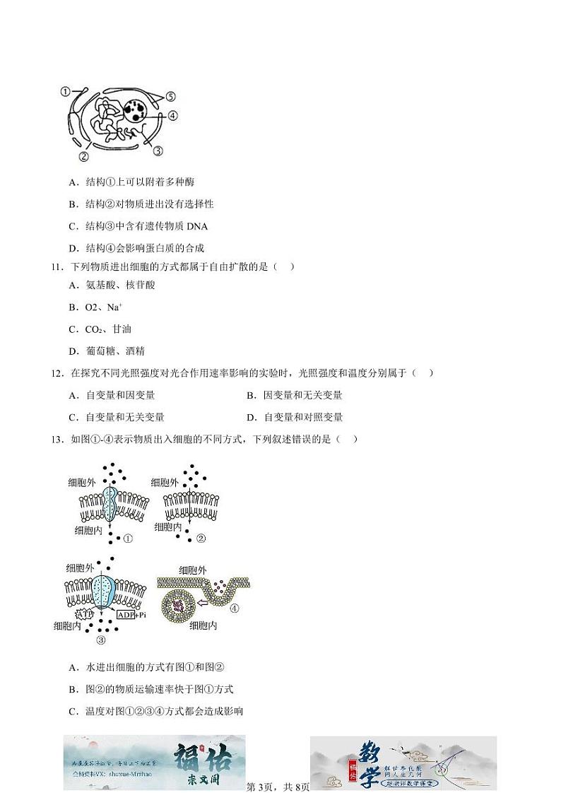 江苏省如皋中学2024-2025高一上学期综合练习二(期中模拟)生物试题原卷版第3页