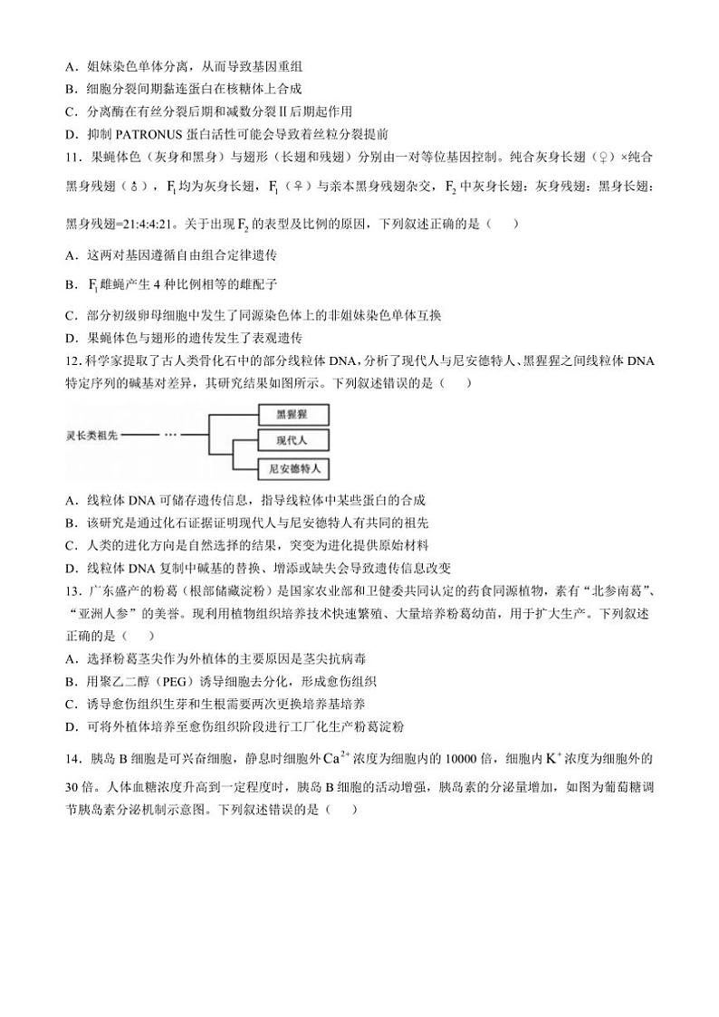 广东省部分学校2024~2025学年高三(上)11月联考生物试卷(含解析)第3页