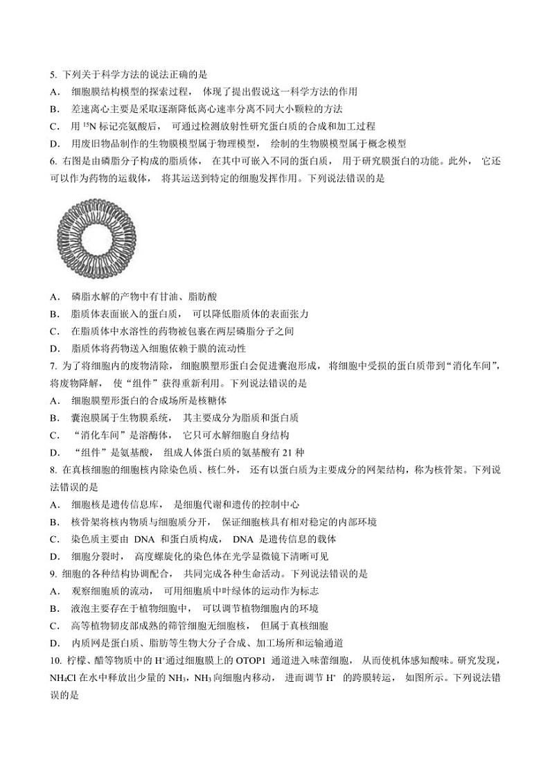 山东省潍坊市昌邑市2024~2025学年高一(上)期中生物试卷(含答案)第2页