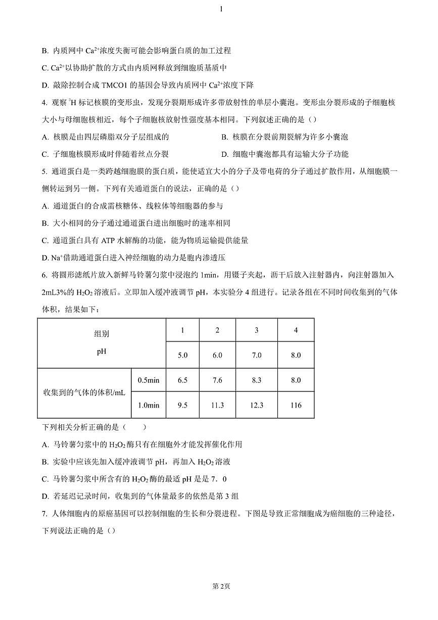 陜西省十七校聯(lián)考2024～2025學(xué)年高三(上)期中生物試卷(含答案)第2頁