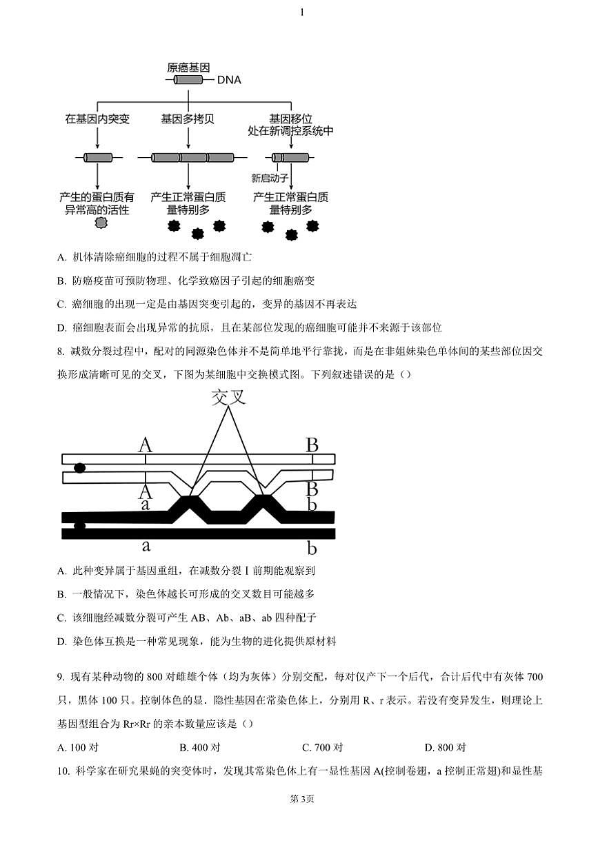 陜西省十七校聯(lián)考2024～2025學(xué)年高三(上)期中生物試卷(含答案)第3頁