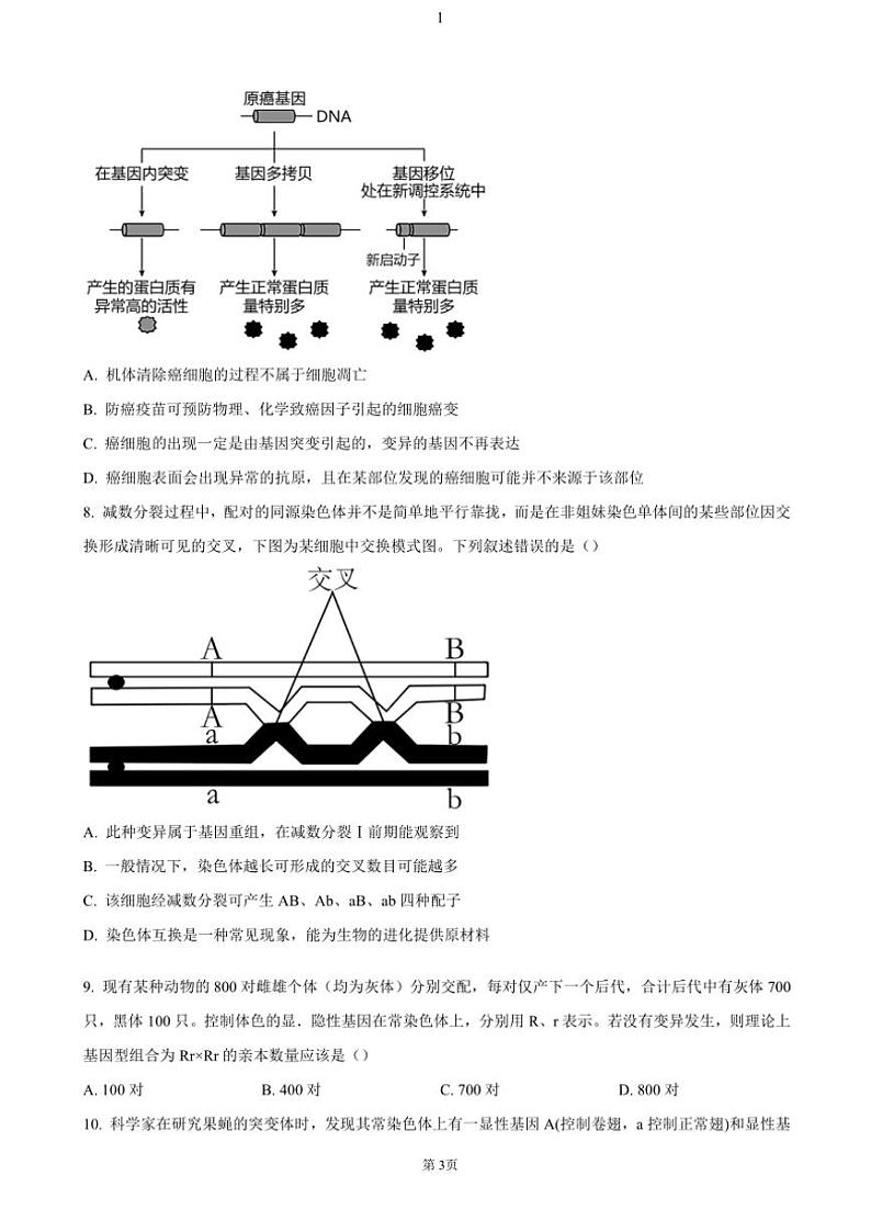 陕西省十七校联考2024~2025学年高三(上)期中生物试卷(含答案)第3页