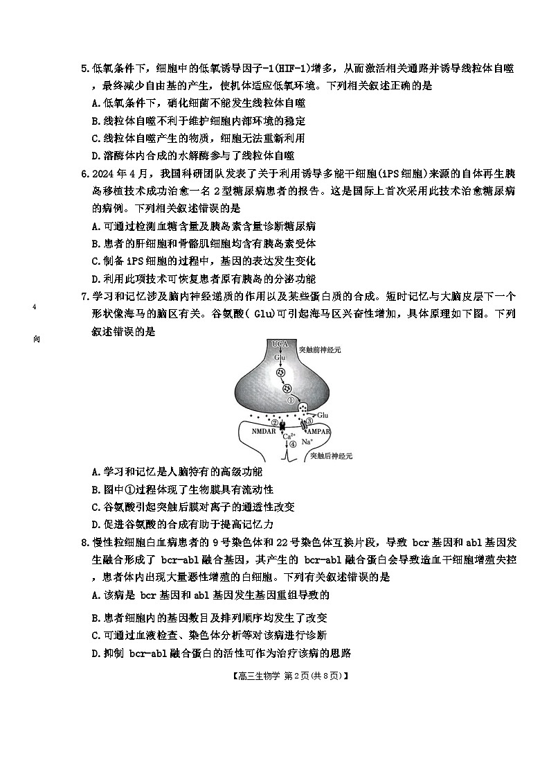 Word_高三生物学第2页