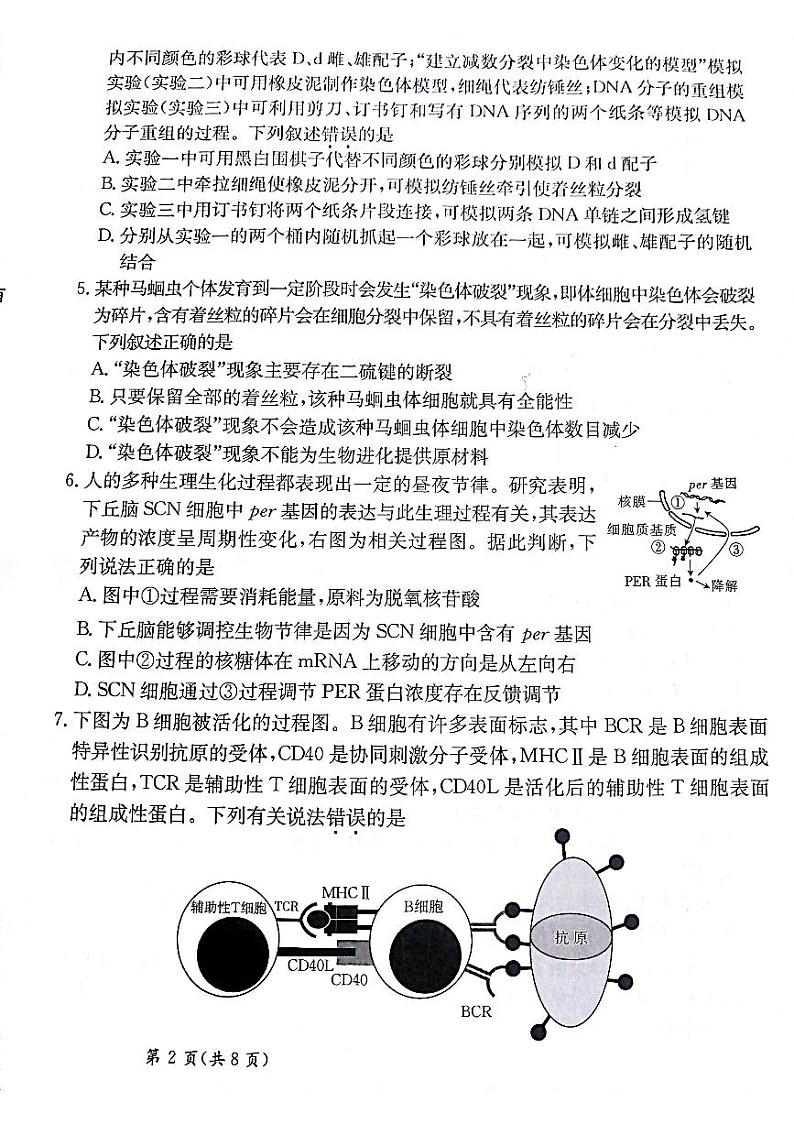 生物试题第2页