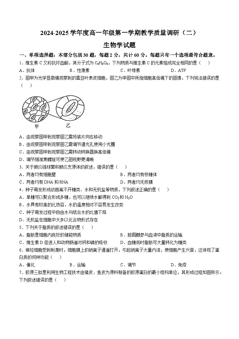 江苏省南通市如皋十校2024-2025学年高一上学期11月期中生物试题第1页
