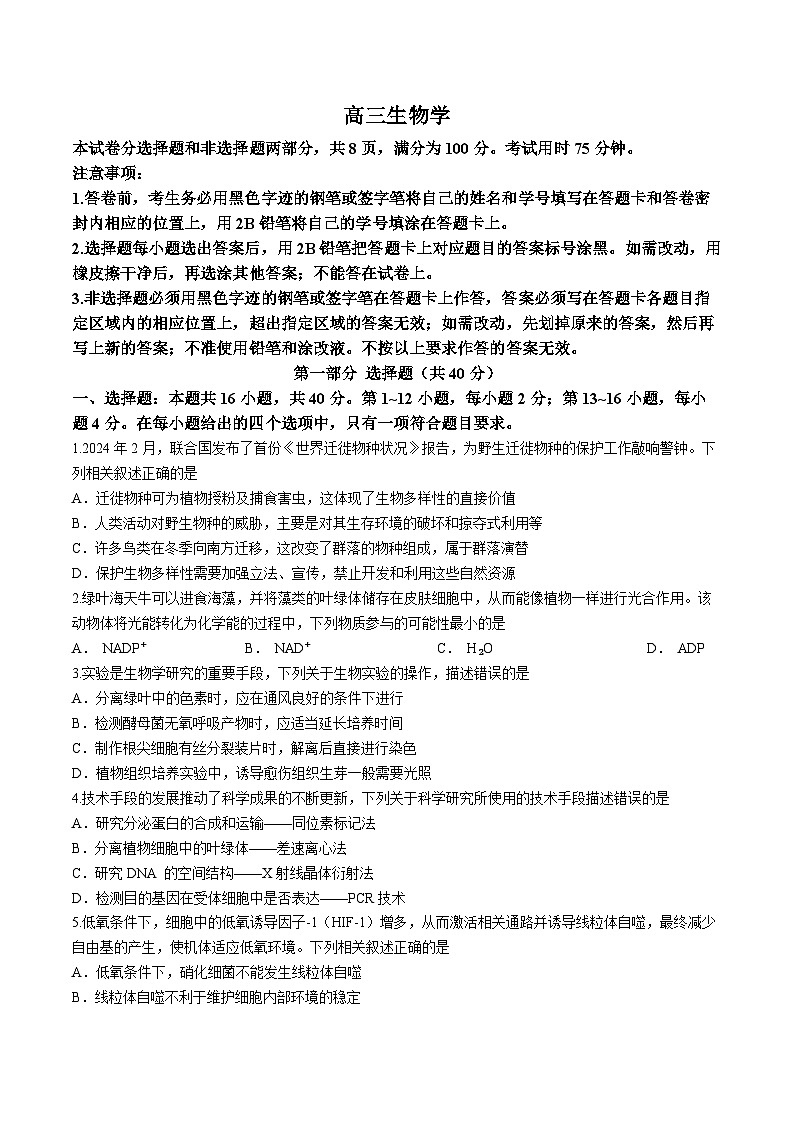 广东省部分高中学校联考2024-2025学年高三上学期11月期中生物试题第1页