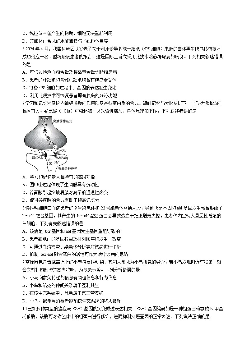 广东省部分高中学校联考2024-2025学年高三上学期11月期中生物试题第2页