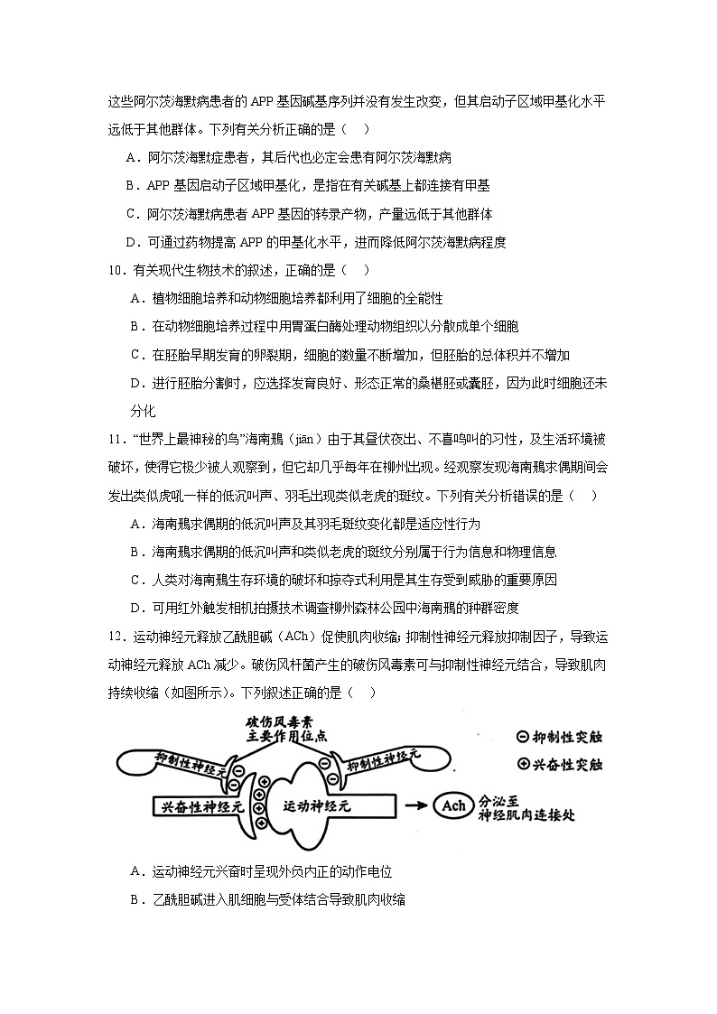 广西柳州市2024-2025学年高三上学期11月第一次模拟考生物试题第3页