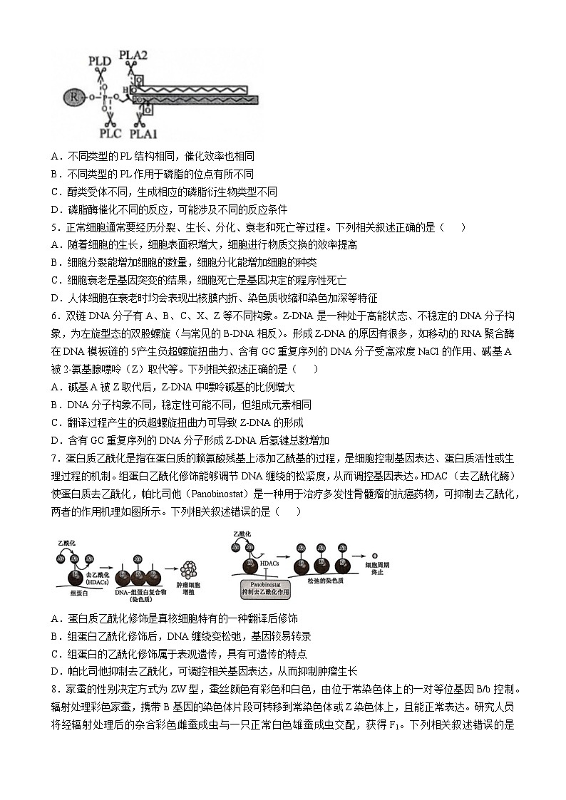 江西省抚州市南丰县第一中学2024-2025学年高三上学期11月联考生物学试卷第2页