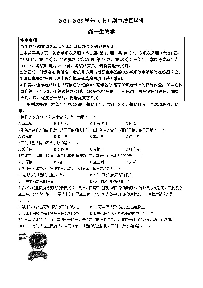 江苏省南通市如东通州区2024-2025学年高一上学期期中生物试题第1页