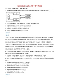 四川省成都市2023_2024学年高二生物上学期期中试题含解析