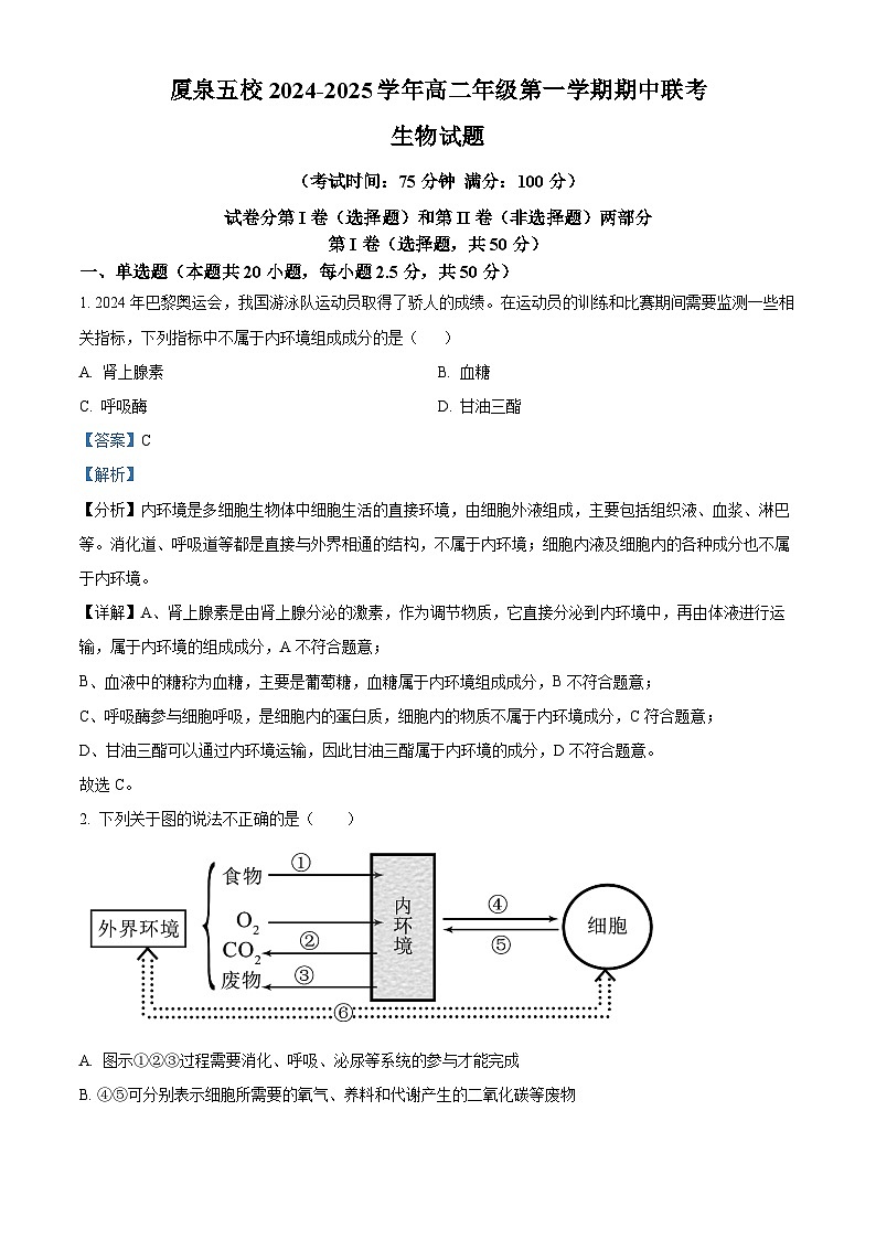 福建省厦泉五校2024-2025学年高二上学期11月期中联考生物试题(解析版)第1页