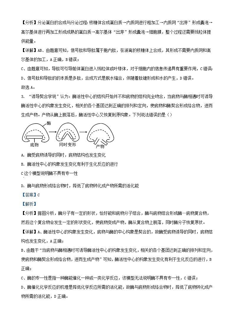 湖北省武汉市2023_2024学年高三生物上学期期中试题含解析第2页