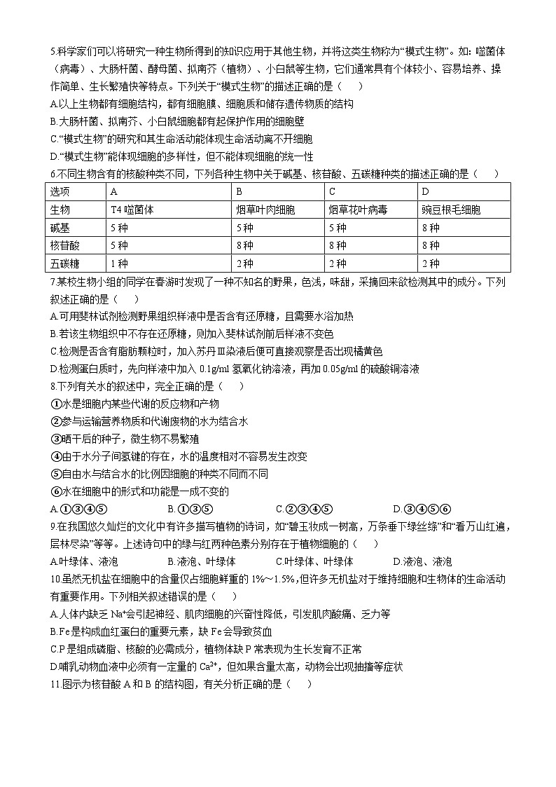 黑龙江省大庆市第一中学2024-2025学年高一上学期期中生物试卷(无答案)第2页