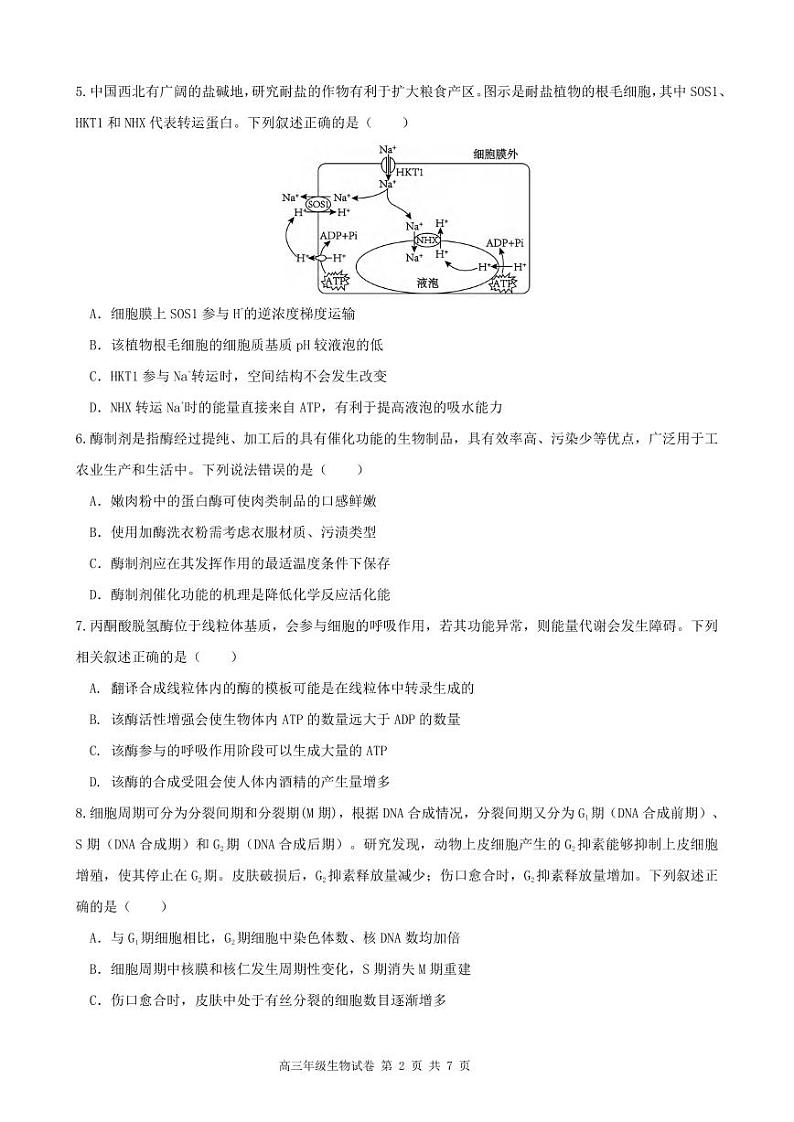 生物丨安徽省合肥市六校联盟2025届高三上学期11月期中联考生物试卷及答案第2页