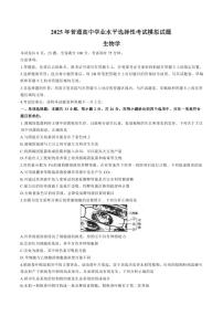 生物丨河北省沧州市运东五校2025届高三上学期11月期中考试生物试卷及答案