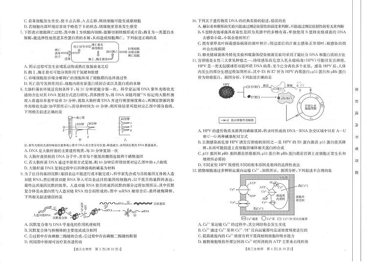 生物丨河南省金太阳2025届高三11月阶段性诊断考试生物试卷及答案第2页