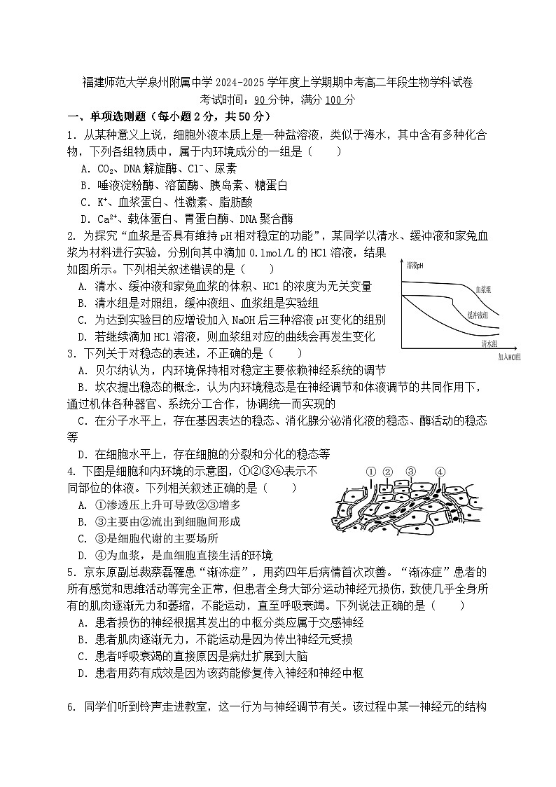 福建省泉州市鲤城区福建师范大学泉州附属中学2024-2025学年高二上学期11月期中生物试题第1页