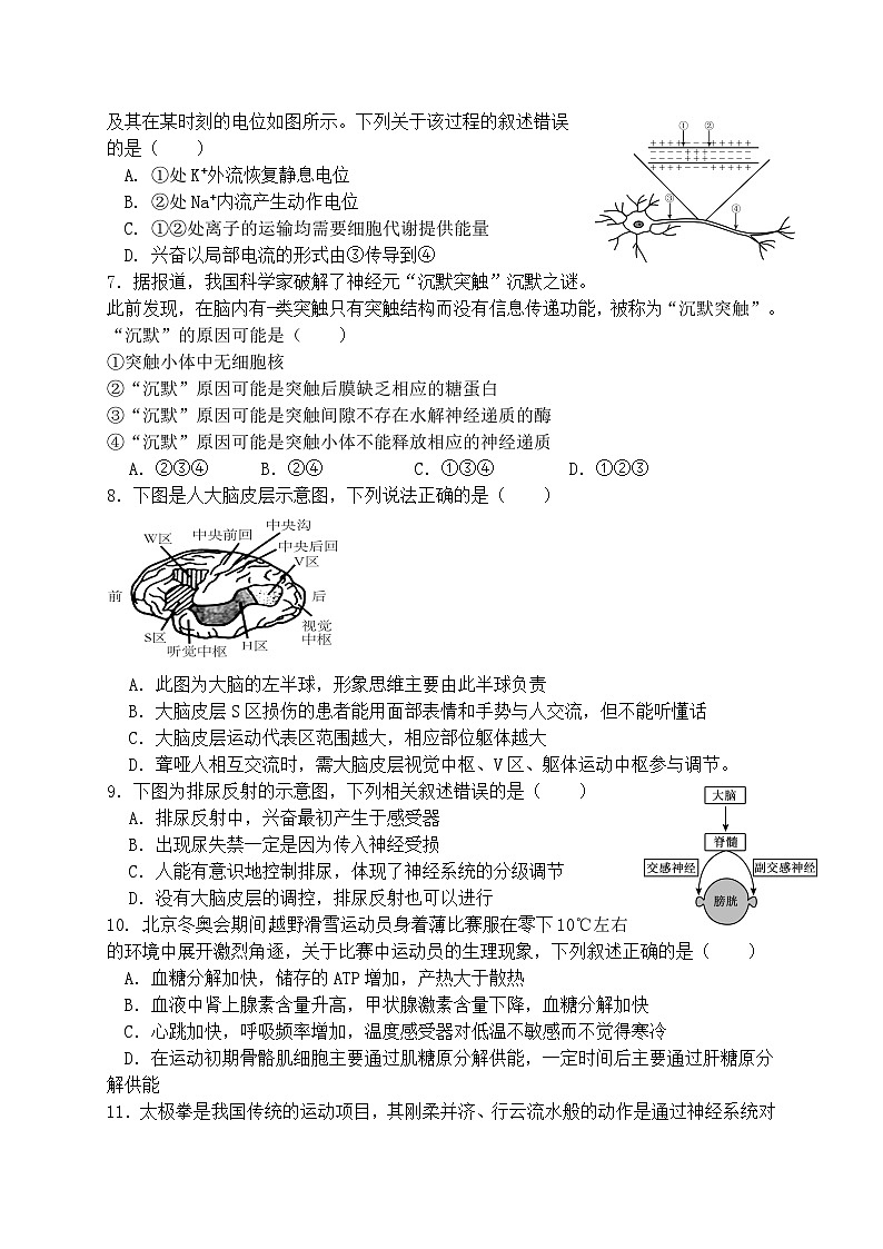 福建省泉州市鲤城区福建师范大学泉州附属中学2024-2025学年高二上学期11月期中生物试题第2页