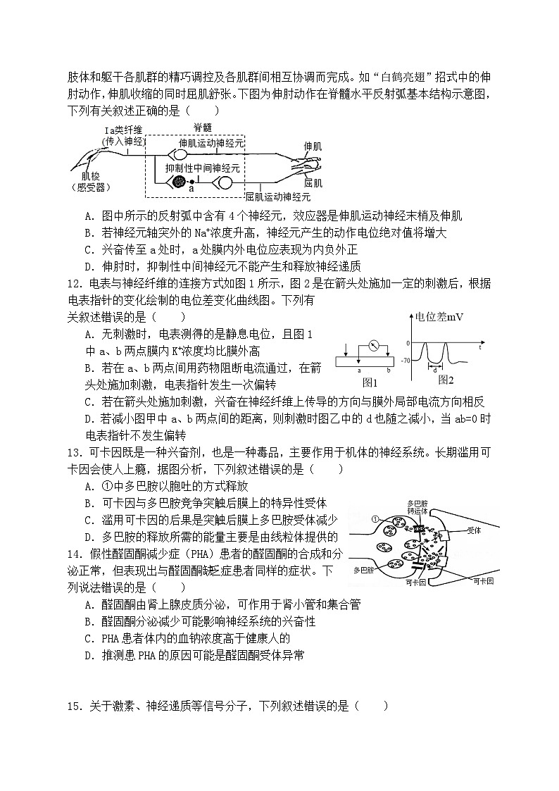 福建省泉州市鲤城区福建师范大学泉州附属中学2024-2025学年高二上学期11月期中生物试题第3页