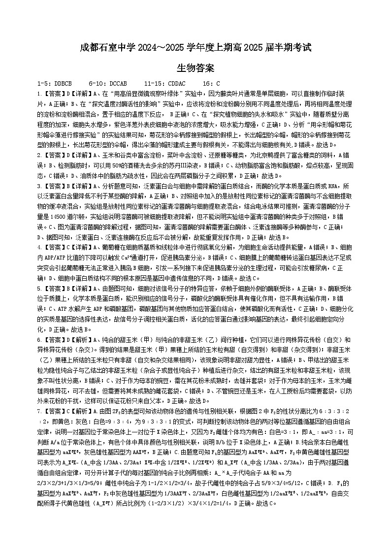 四川省成都市石室中学2024-2025学年高三上学期期中考试生物答案第1页