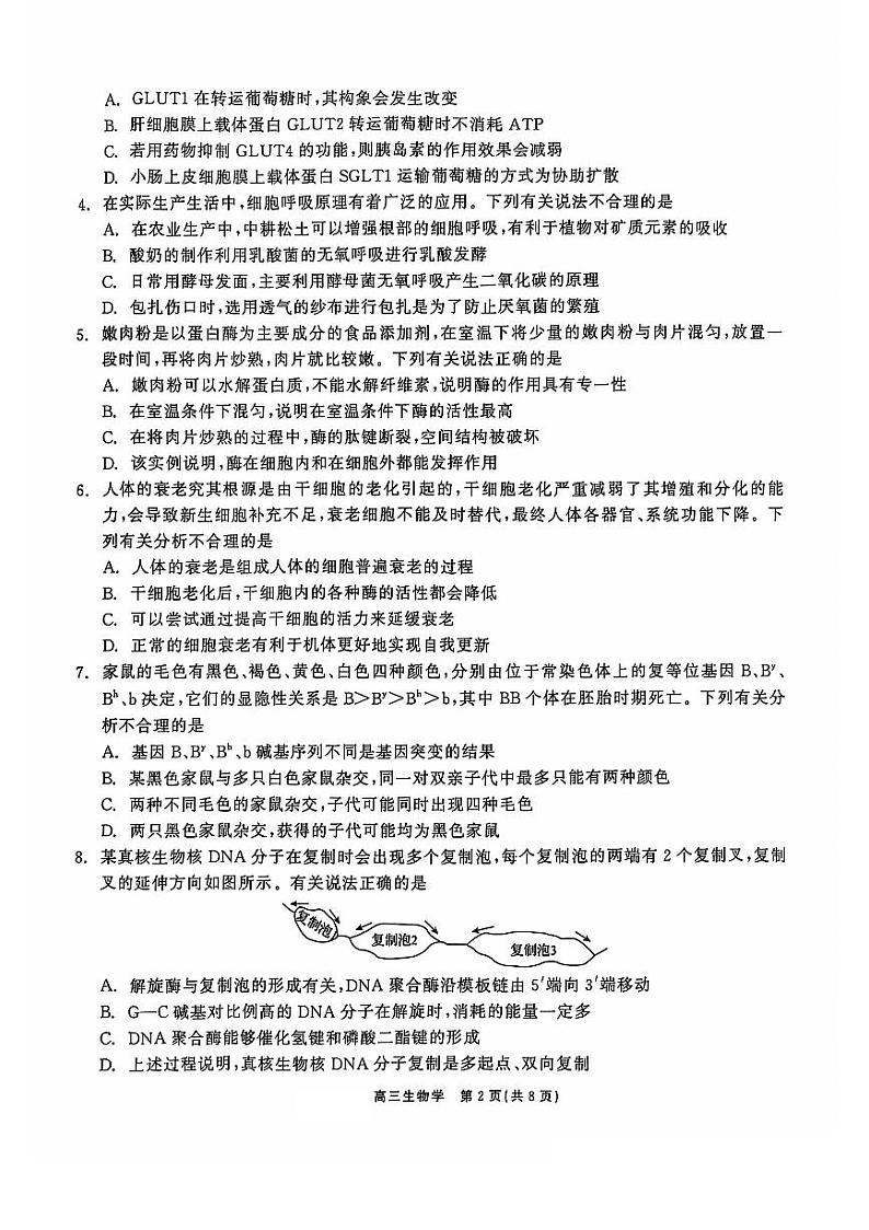 辽宁省普通高中2024-2025学年高三上学期11月期中生物试题第2页