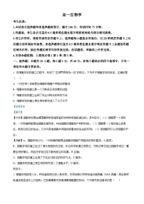 河南省九师联考2024-2025学年高一上学期11月期中考试生物试卷（Word版附解析）