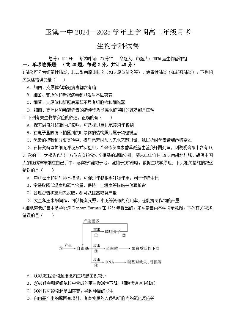 月考2第1页