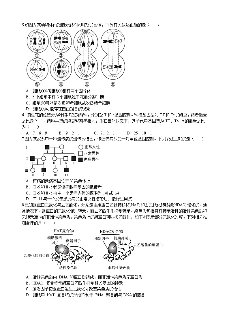 月考2第2页